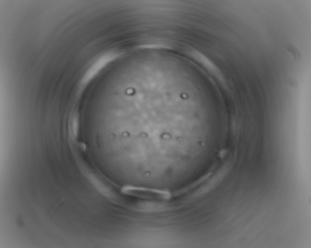 X0000115591274200911101231