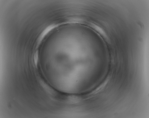 X0000115591275200911101231