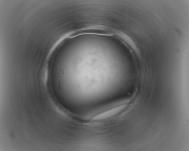 X0000115591276200911101231