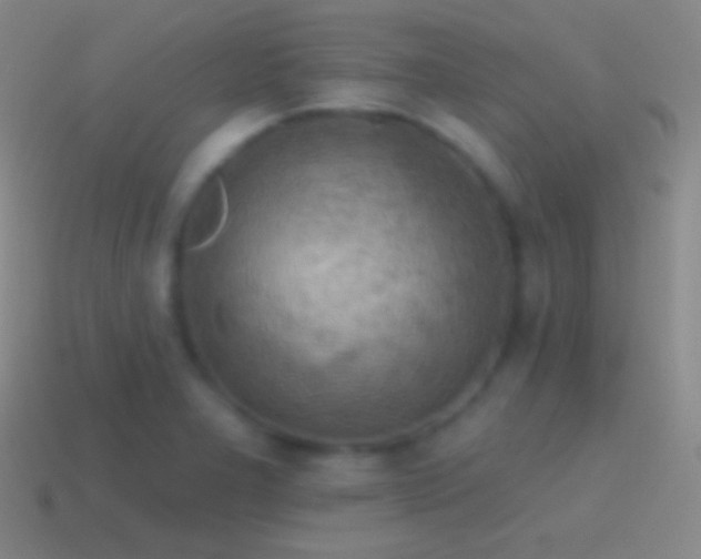 X0000115591277200911101231