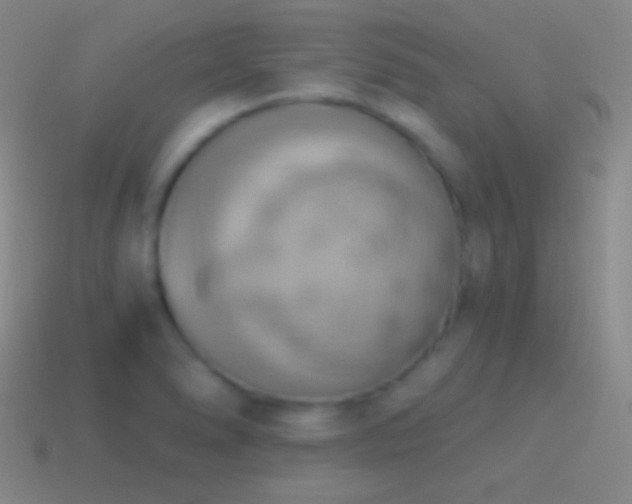 X0000115591278200911101231