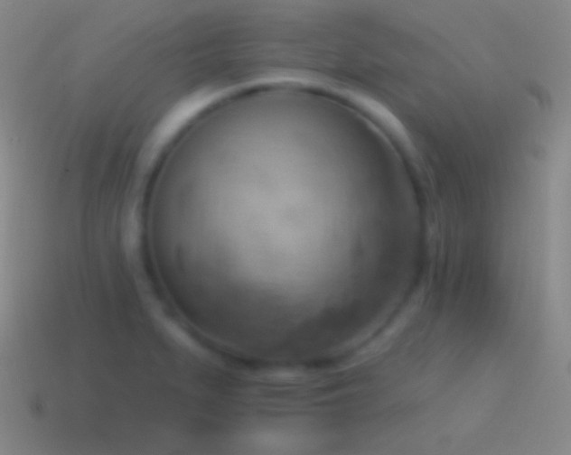 X0000115591279200911101231