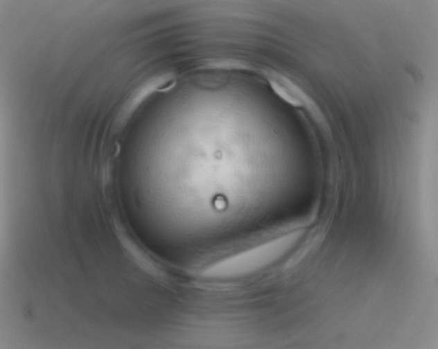 X0000115591281200911101231