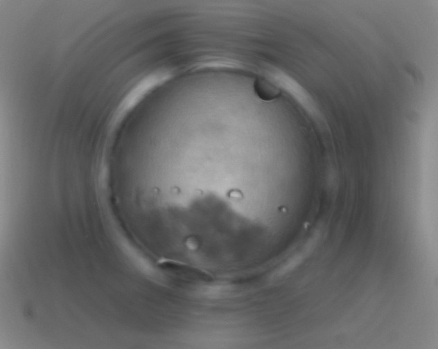 X0000115591282200911101231