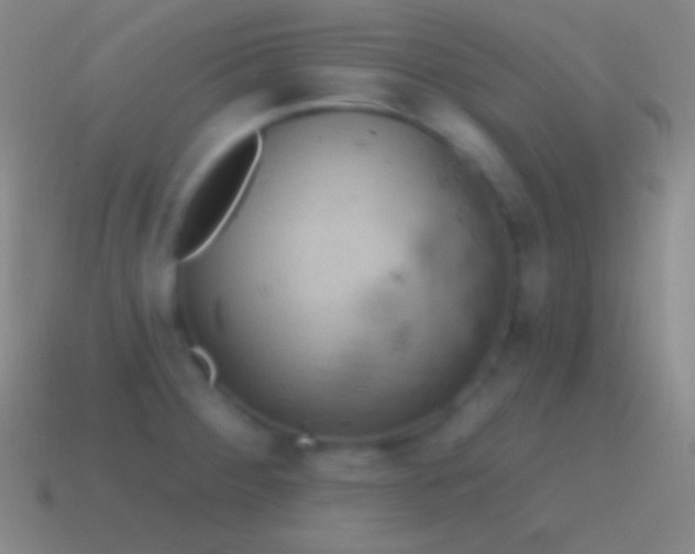 X0000115591284200911101231