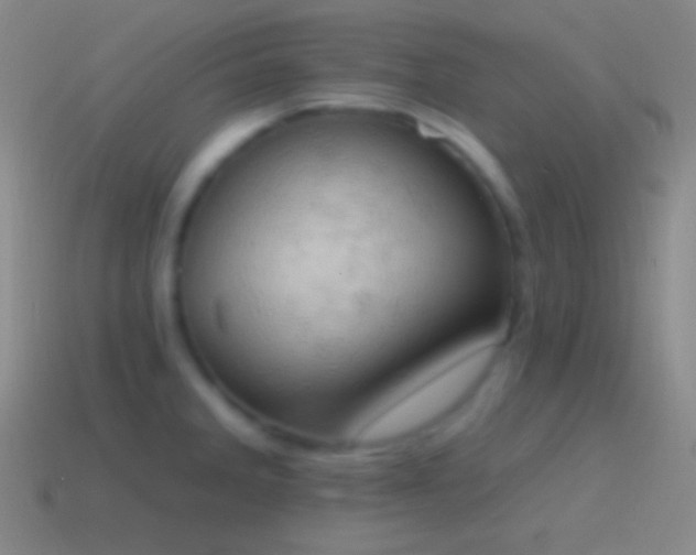 X0000115591285200911101231