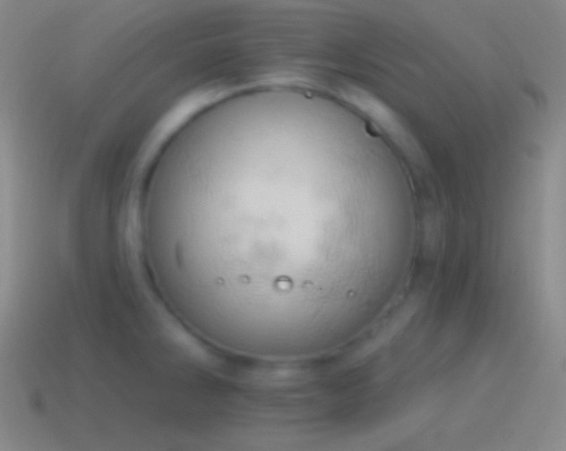 X0000115591286200911101231