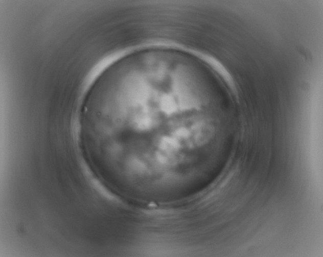 X0000115591287200911101231