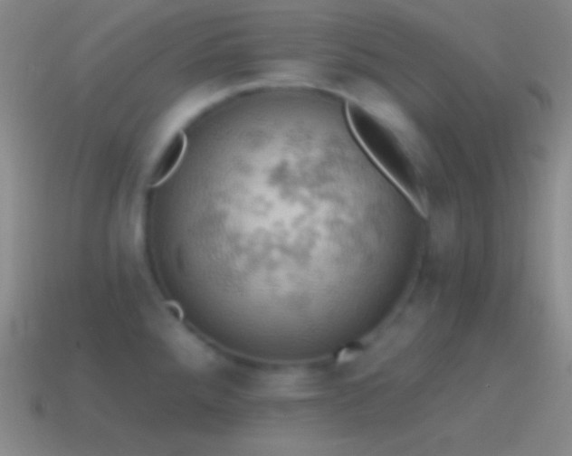 X0000115591288200911101231