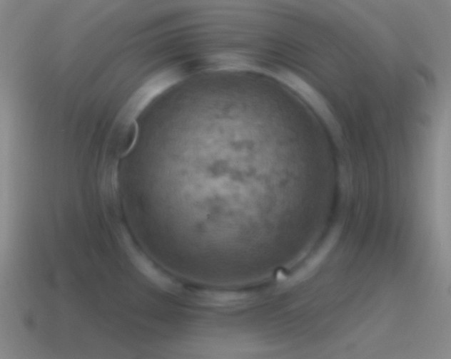 X0000115591289200911101231