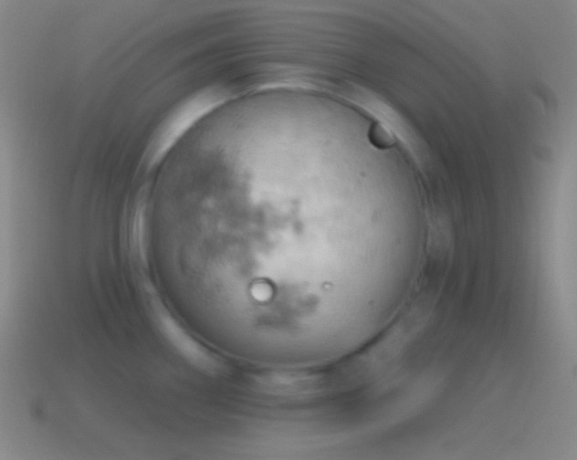 X0000115591290200911101231