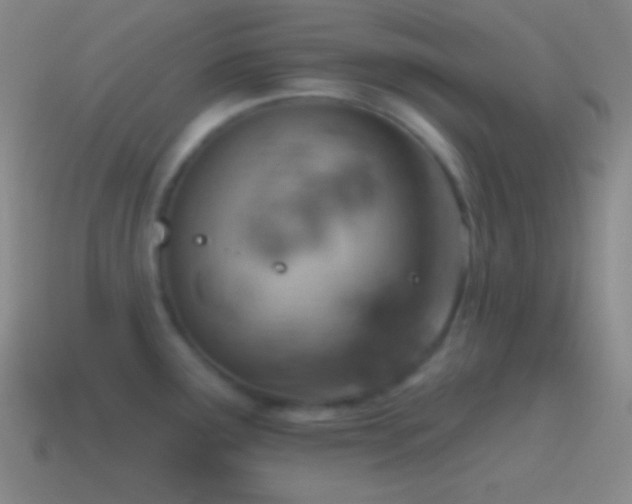 X0000115591291200911101231