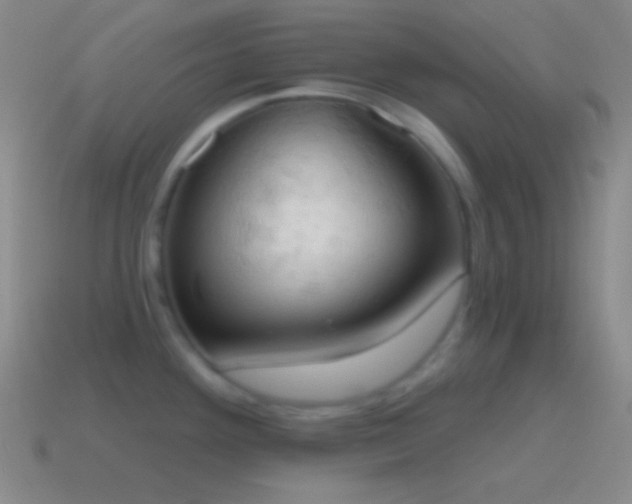 X0000115591292200911101231