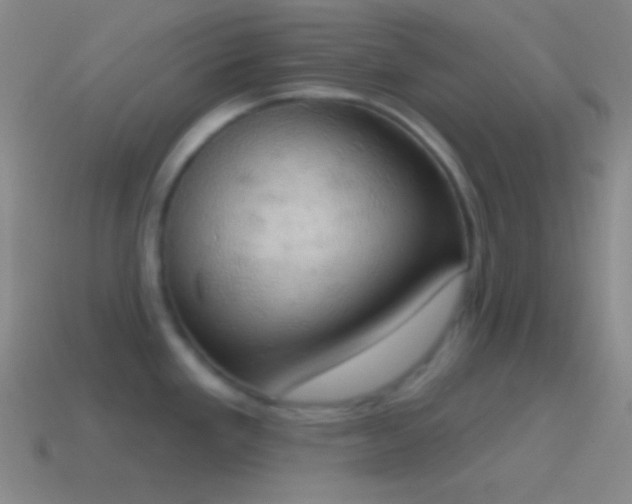 X0000115591293200911101231