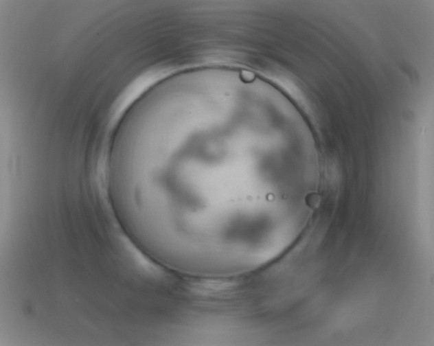 X0000115591294200911101231