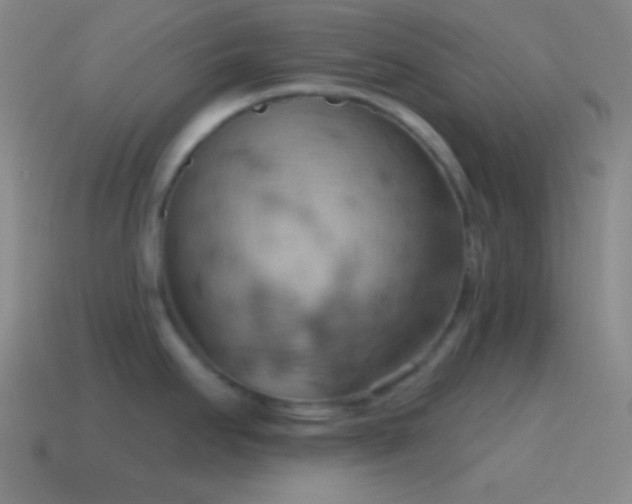 X0000115591295200911101231