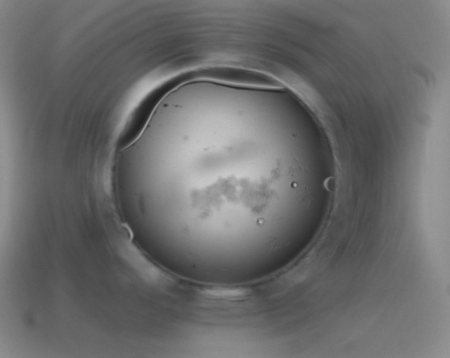 X0000115591296200911101231