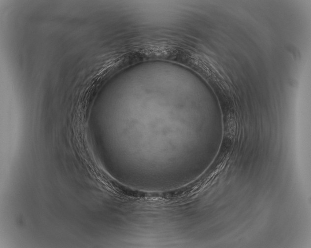 X0000115591297200911101230