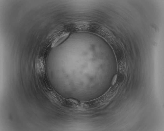 X0000115591298200911101230