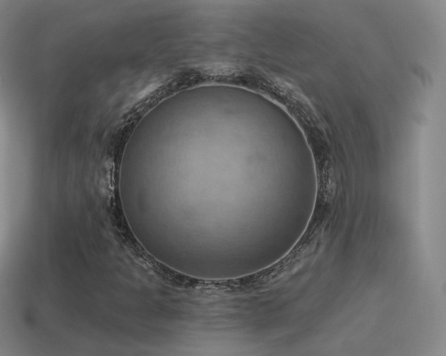 X0000115591301200911101230