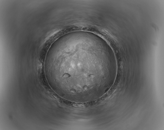 X0000115591302200911101230