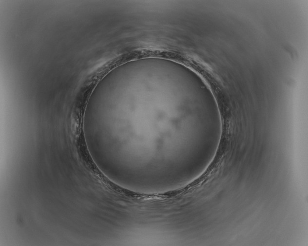 X0000115591303200911101230