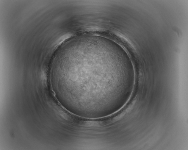 X0000115591305200911101230