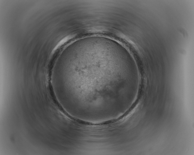 X0000115591306200911101230