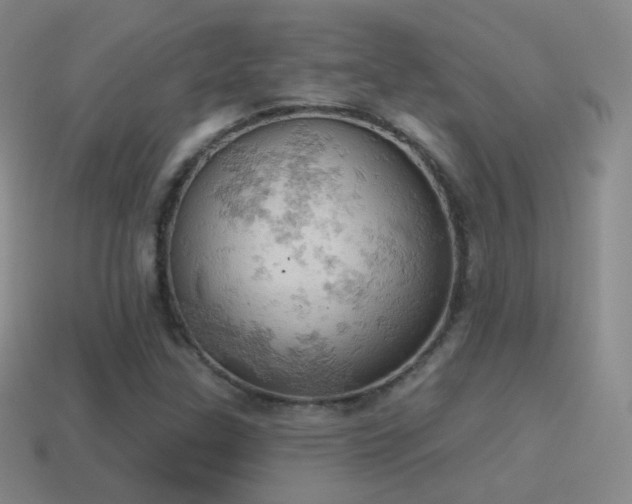 X0000115591307200911101230