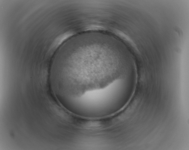 X0000115591313200911101230