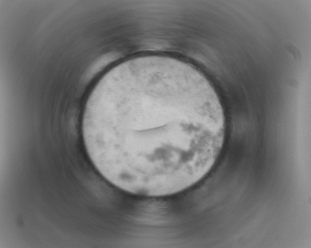 X0000115591314200911101230