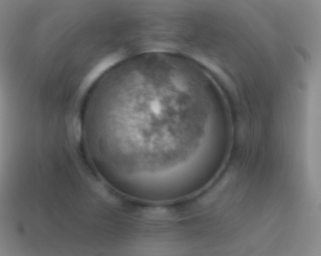 X0000115591317200911101230