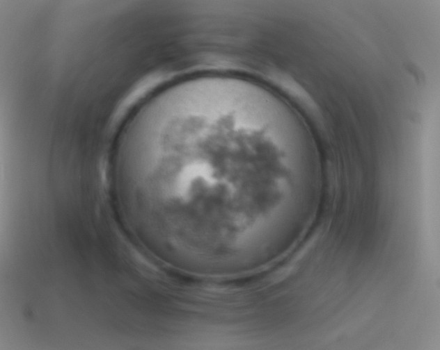 X0000115591318200911101230