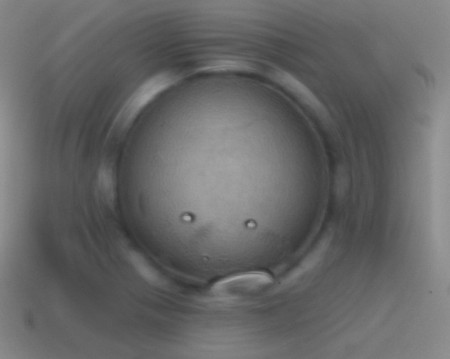 X0000115591321200911101230