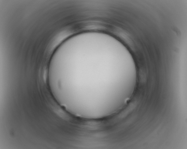 X0000115591322200911101230