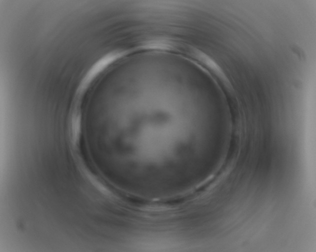 X0000115591323200911101230