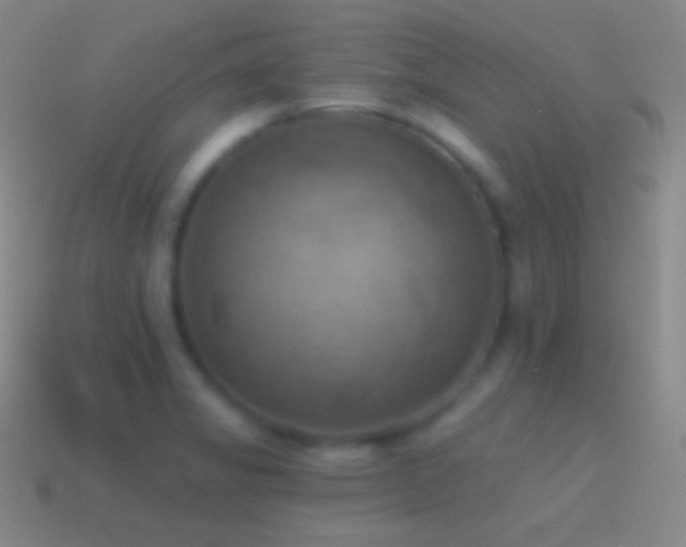 X0000115591325200911101230