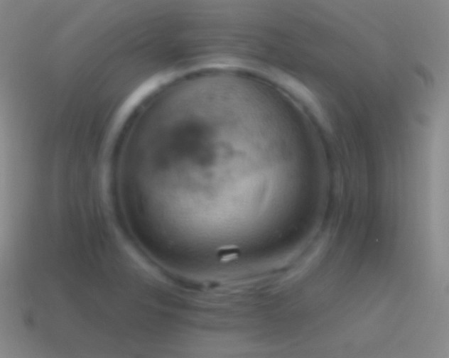 X0000115591326200911101230