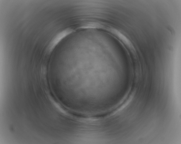 X0000115591329200911101230