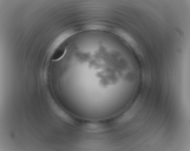 X0000115591330200911101230