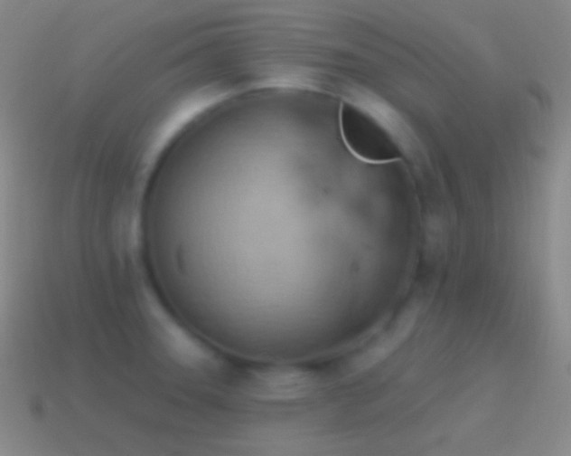 X0000115591331200911101230