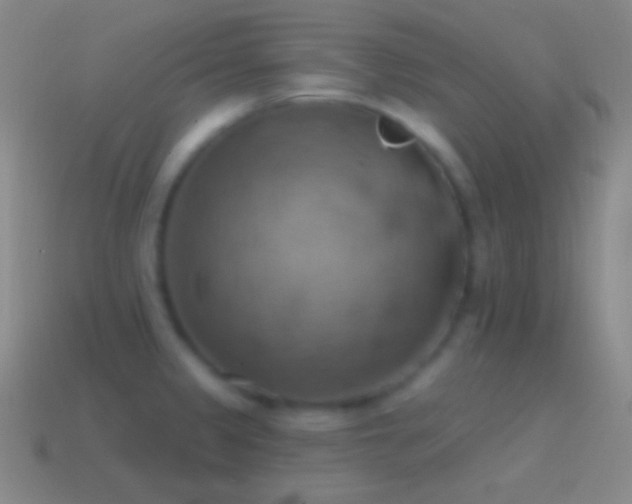 X0000115591333200911101231