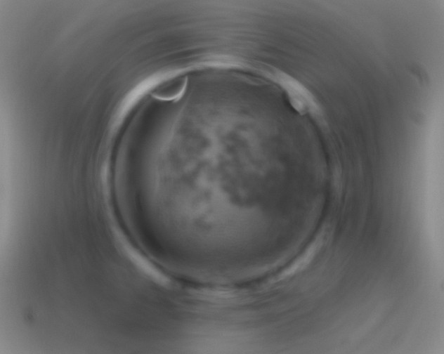 X0000115591334200911101231