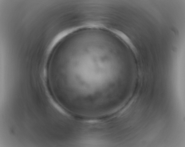 X0000115591335200911101231