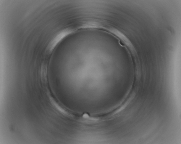 X0000115591337200911101231