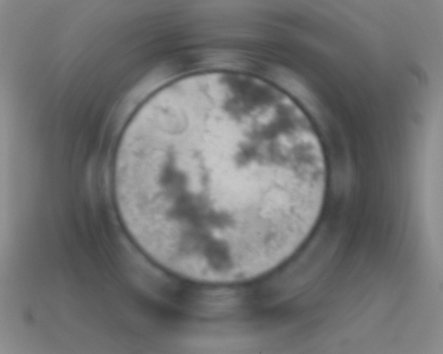 X0000115591338200911101231