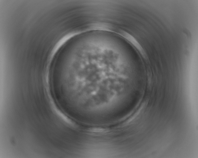 X0000115591339200911101231