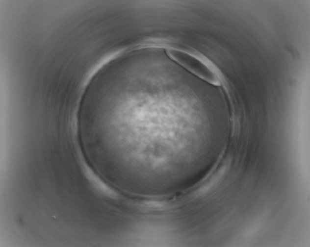 X0000115591341200911101231