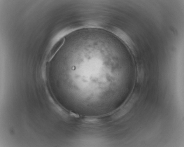 X0000115591342200911101231