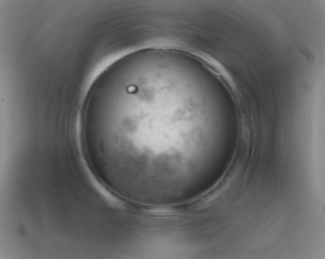 X0000115591343200911101231